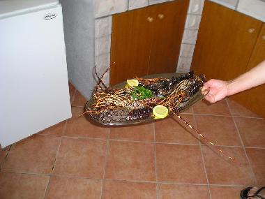 Appartement de vacances �/en/au Molunat  (Dubrovacko-Neretvanska)ou appartement ou maison de vacances