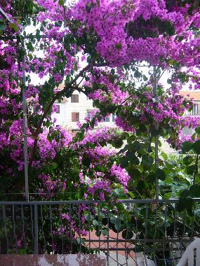 Appartement de vacances /en/au Supetar (Splitsko-Dalmatinska)ou appartement ou maison de vacances