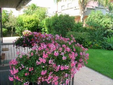 Appartement de vacances �/en/au Soverato-Davoli.... (Catanzaro)ou appartement ou maison de vacances