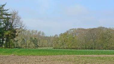 Maison de vacances �/en/au Knesselare / Ursel (Flandre)ou appartement ou maison de vacances