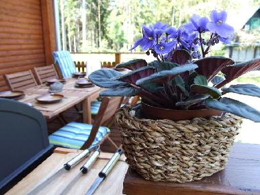 Appartement de vacances /en/au Kosiarny Briezok (Kosicky)ou appartement ou maison de vacances