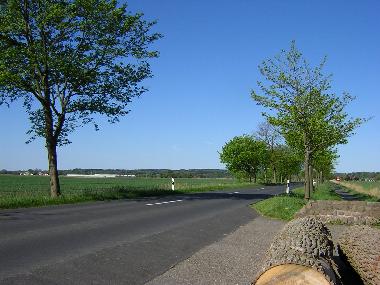 Maison de vacances /en/au Wingst - Oberndorf (Land zwischen Elbe u. Weser)ou appartement ou maison de vacances