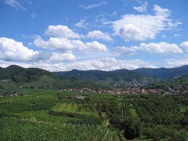 Appartement de vacances /en/au Buehl (Schwarzwald)ou appartement ou maison de vacances