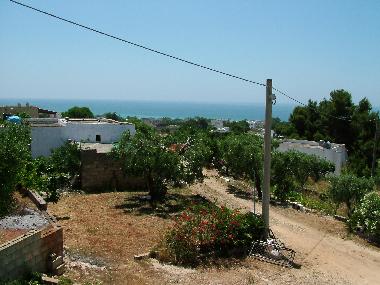 Maison de vacances /en/au Pescoluse (Lecce)ou appartement ou maison de vacances