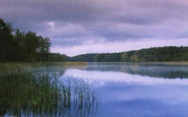 Chambre avec petit djeuner /en/au Jeleniewo (Podlaskie)ou appartement ou maison de vacances