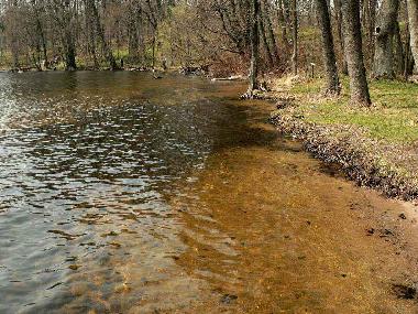 Chambre avec petit djeuner /en/au Jeleniewo (Podlaskie)ou appartement ou maison de vacances