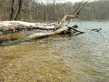 Chambre avec petit djeuner /en/au Jeleniewo (Podlaskie)ou appartement ou maison de vacances