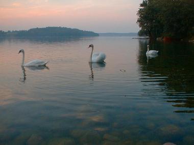 Chambre avec petit djeuner /en/au Jeleniewo (Podlaskie)ou appartement ou maison de vacances