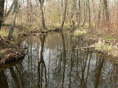 Chambre avec petit djeuner /en/au Jeleniewo (Podlaskie)ou appartement ou maison de vacances