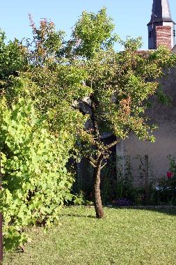 Maison de vacances �/en/au Ige (Orne)ou appartement ou maison de vacances