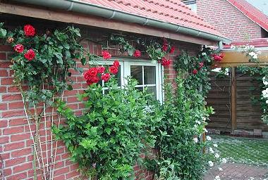 Maison de vacances /en/au Hage (Nordsee-Festland / Ostfriesland)ou appartement ou maison de vacances