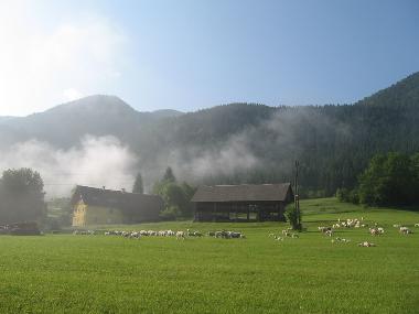 Appartement de vacances �/en/au Bohinjska Bistrica (Bohinj)ou appartement ou maison de vacances
