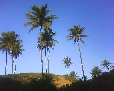 Maison de vacances �/en/au Imbassai (Bahia)ou appartement ou maison de vacances