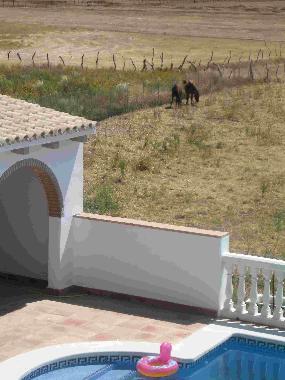 Chalet /en/au Vejer (Cdiz)ou appartement ou maison de vacances