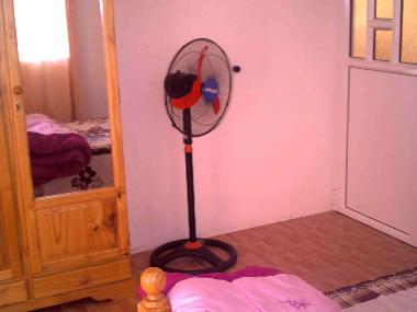 Maison de vacances /en/au SAVANNE (Savanne)ou appartement ou maison de vacances