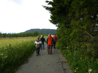 Maison de vacances /en/au Winterberg-Langewiese (Sauerland)ou appartement ou maison de vacances