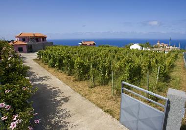 Maison de vacances �/en/au S�o Jorge (Madeira)ou appartement ou maison de vacances