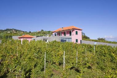 Maison de vacances �/en/au S�o Jorge (Madeira)ou appartement ou maison de vacances