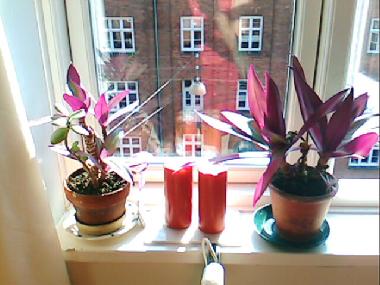 Chambre avec petit d�jeuner �/en/au Kobenhavn (Kobenhavn)ou appartement ou maison de vacances