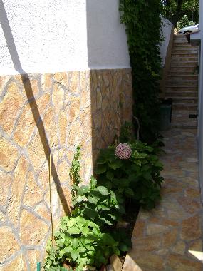 Appartement de vacances �/en/au Mandre (Zadarska)ou appartement ou maison de vacances