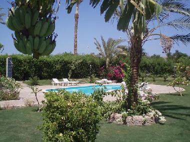 Appartement de vacances �/en/au Hurghada (Al Bahr al Ahmar)ou appartement ou maison de vacances