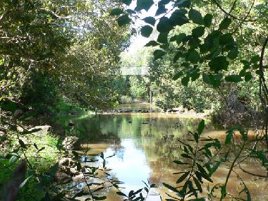 Peterson creek au fond du jardin