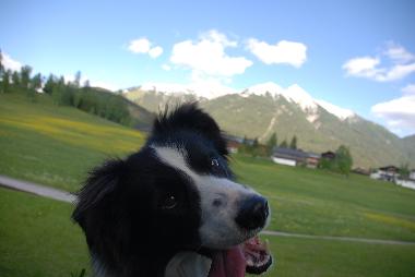 Maison de vacances /en/au Seefeld in Tirol (Tiroler Oberland)ou appartement ou maison de vacances