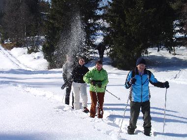 Maison de vacances /en/au Seefeld in Tirol (Tiroler Oberland)ou appartement ou maison de vacances