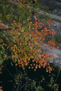 Appartement de vacances �/en/au Vysoky Ujezd u Berouna (Stredocesky Kraj)ou appartement ou maison de vacances