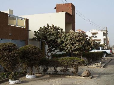 Neighbourhood