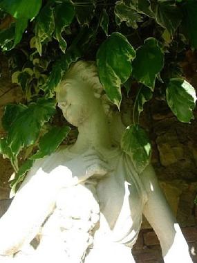 Chambre avec petit d�jeuner �/en/au Castellina in chianti (Siena)ou appartement ou maison de vacances