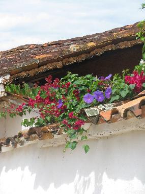 Maison de vacances �/en/au Barichara (Santander)ou appartement ou maison de vacances