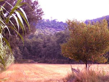 Chambre avec petit djeuner /en/au Massanes (Girona)ou appartement ou maison de vacances