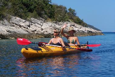 Maison de vacances /en/au Maslinica (Splitsko-Dalmatinska)ou appartement ou maison de vacances