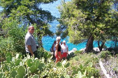 Maison de vacances /en/au Maslinica (Splitsko-Dalmatinska)ou appartement ou maison de vacances