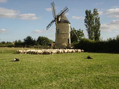 Maison de vacances �/en/au St Cyr Des Gats (Vend�e)ou appartement ou maison de vacances