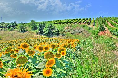 Appartement de vacances �/en/au Carassai (Ascoli Piceno)ou appartement ou maison de vacances