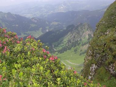 Appartement de vacances /en/au Mellau (Bludenz-Bregenzer Wald)ou appartement ou maison de vacances