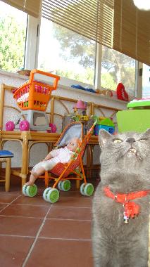 Maison de vacances /en/au Campagnano di Roma (Roma)ou appartement ou maison de vacances