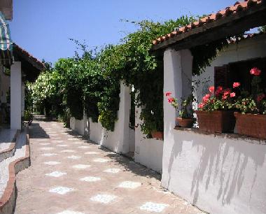 Chambre avec petit djeuner /en/au Procida (Napoli)ou appartement ou maison de vacances