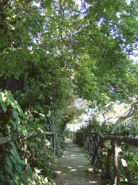 Chambre avec petit djeuner /en/au Procida (Napoli)ou appartement ou maison de vacances
