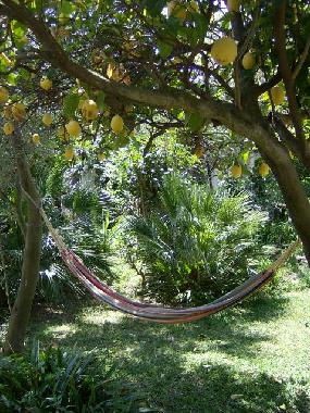 Chambre avec petit djeuner /en/au Procida (Napoli)ou appartement ou maison de vacances