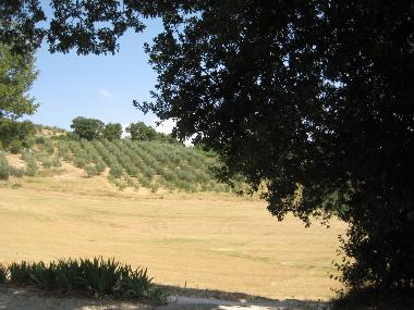 Appartement de vacances �/en/au Todi (Perugia)ou appartement ou maison de vacances