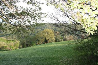 Appartement de vacances �/en/au Todi (Perugia)ou appartement ou maison de vacances