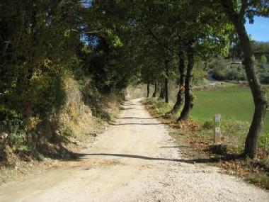 Appartement de vacances �/en/au Todi (Perugia)ou appartement ou maison de vacances