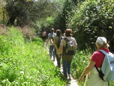 Maison de vacances �/en/au Jimera de Libar (M�laga)ou appartement ou maison de vacances