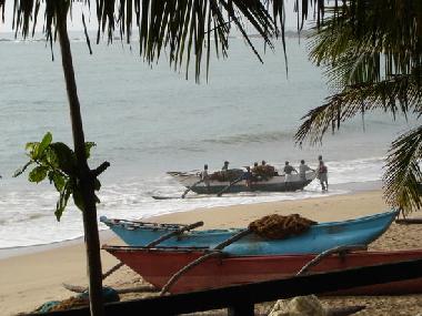 Chambre avec petit d�jeuner �/en/au Tangalle - Sri Lanka (Galle)ou appartement ou maison de vacances