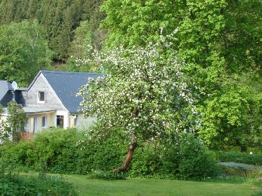Appartement de vacances /en/au Bad Berleburg (Sauerland)ou appartement ou maison de vacances