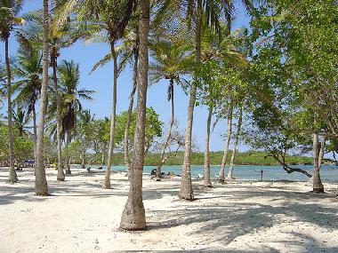 Appartement de vacances �/en/au 28.000 (Falcon)ou appartement ou maison de vacances