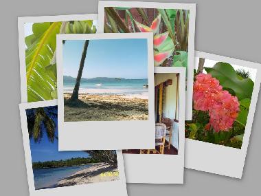 Chalet �/en/au las galeras samana (Samana)ou appartement ou maison de vacances